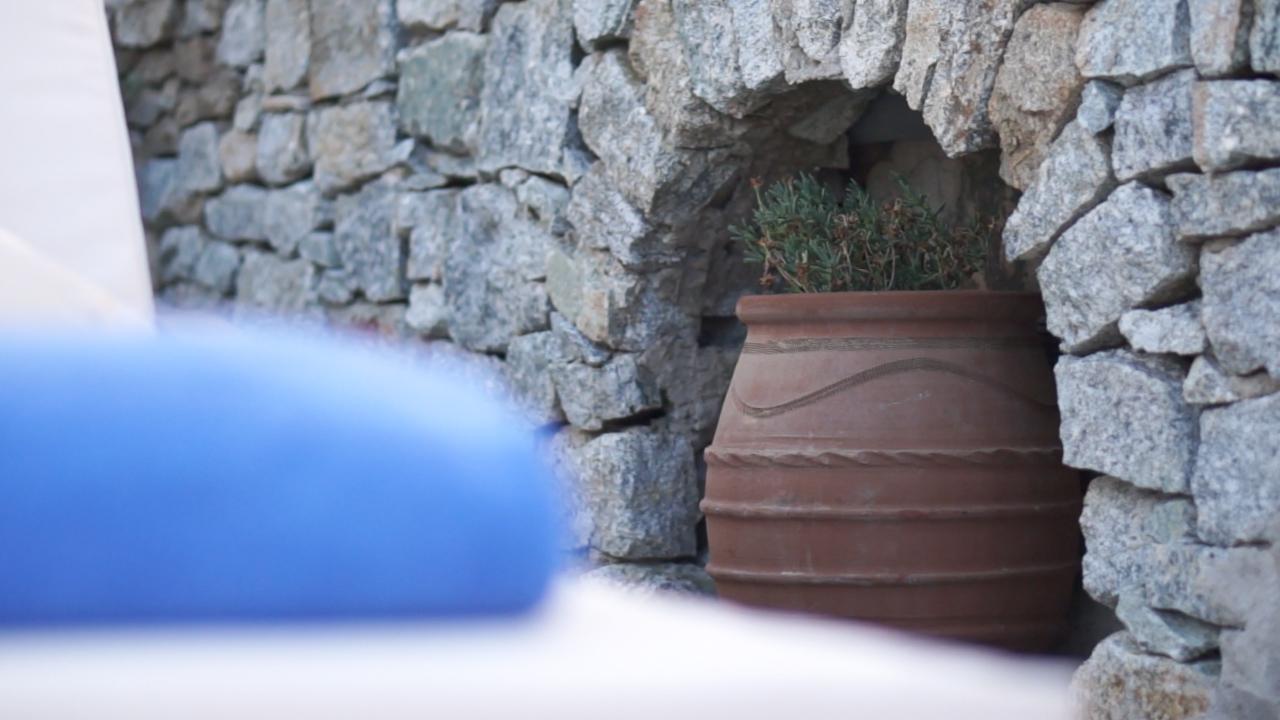 Dionysos Luxury Hotel Mykonos Ornos  Buitenkant foto